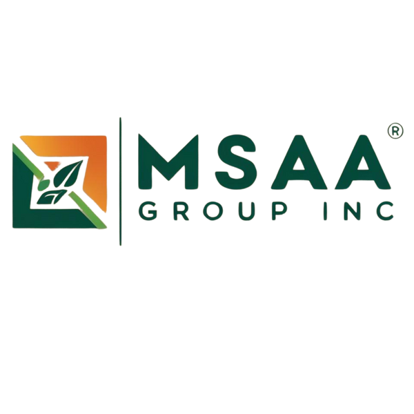 MSAA GROUP INC