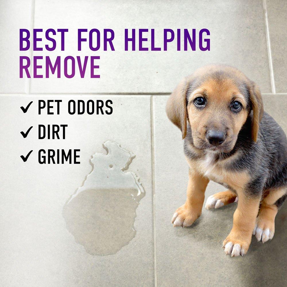 Hoover Paws & Claws Multi-Surface Cleaning Formula 32oz, AH30429CA