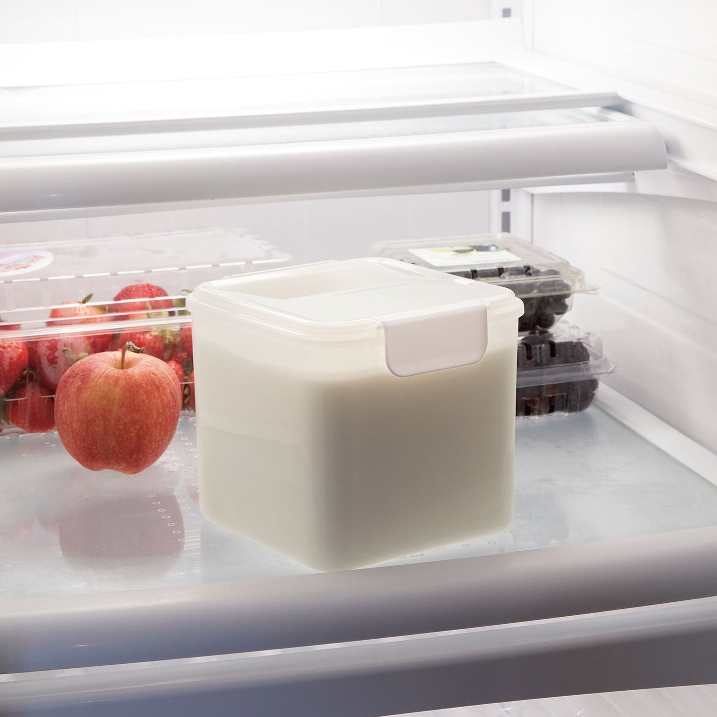 Proctor Silex 32oz. capacity digital yogurt maker (86300)