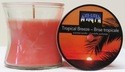 CITI-LITES 2.5 OZ HOURGLASS JAR TROPICAL BREEZE ....